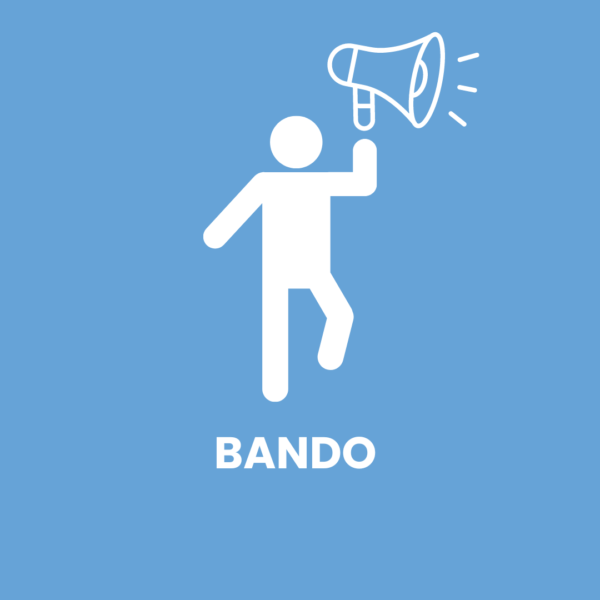 Bando: selezione di 11 collaborazioni part-time finalizzate allo svolgimento di attività di tutorato, orientamento e didattico-integrative a supporto di studenti con disabilità e DSA