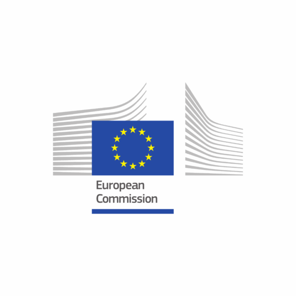 “Blue Book Traineeship Programme”: tirocinio presso la Commissione Europea